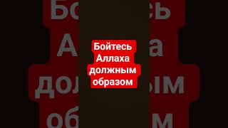#шейхабдураззакальбадр #quran #лакомка #шортс #ислам #сунна #напоминание #коранисунна #лекция #грехи