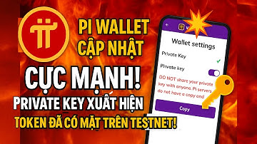 🔥 Pi Wallet Cập Nhật Cực Mạnh! Private Key Xuất Hiện – Token Đã Có Mặt Trên Testnet! ⚡