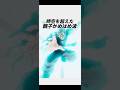 親子かめはめ波 IF