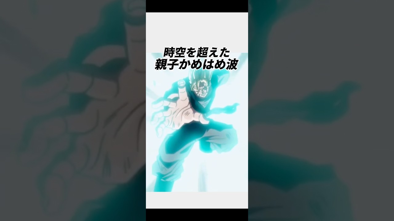 親子かめはめ波 IF