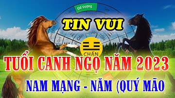 Tin tốt cho tuổi "ngọ" Tử vi mệnh số của tuổi CANH NGỌ trong năm quý mão 2023.|Những Câu Nói Bất hủ