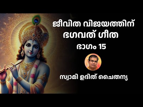 ഭാഗം 15 - ജീവിത വിജയത്തിന് ഭഗവദ് ഗീത - സ്വാമി ഉദിത് ചൈതന്യ Bhagavad Gita Class Swami Udit Chaitanya