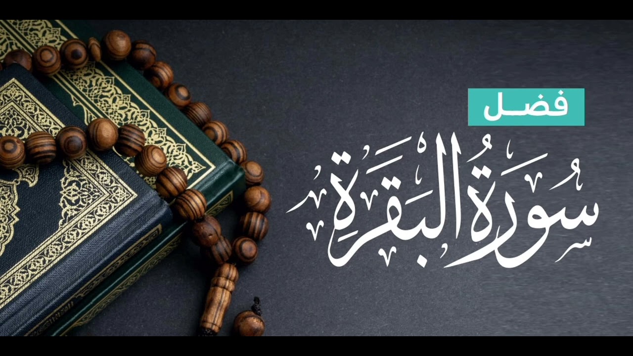 الحزب الاخير من البقرة بجمع الكسائي وخلف العاشر مع سكت ادريس من طريق الشاطبية والدرة لأبي عمرو