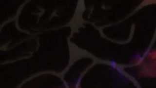 BRANDT BRAUER FRICK ENSEMBLE@Pohoda festival 2014