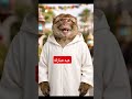 قردوش وعسيلة اكسبلور ضحك المراه الوكره كامري Funny ضحك الدارجة