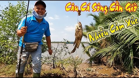 Câu Cá Sông Cần Giờ Nhiều Cảm Xúc Và Thú Vị | Câu Cá Thiên Nhiên Cần Giờ