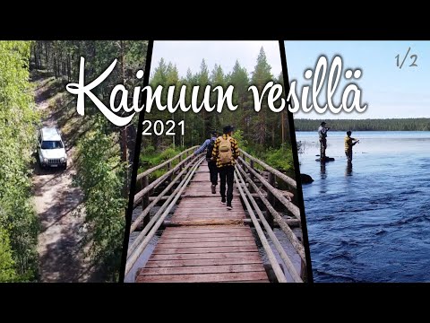 Video: Miltä Karhu Näyttää