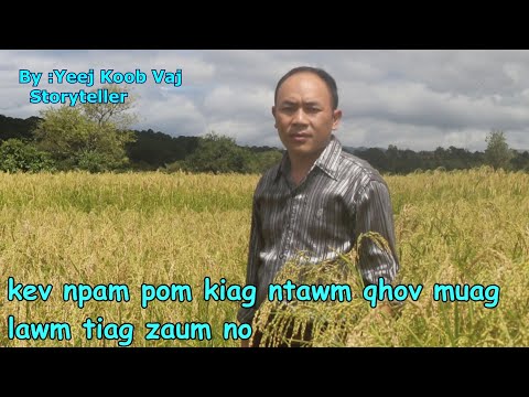 Video: Kev Loj Hlob Ntawm Tus Menyuam Los Ntawm Lub Hlis