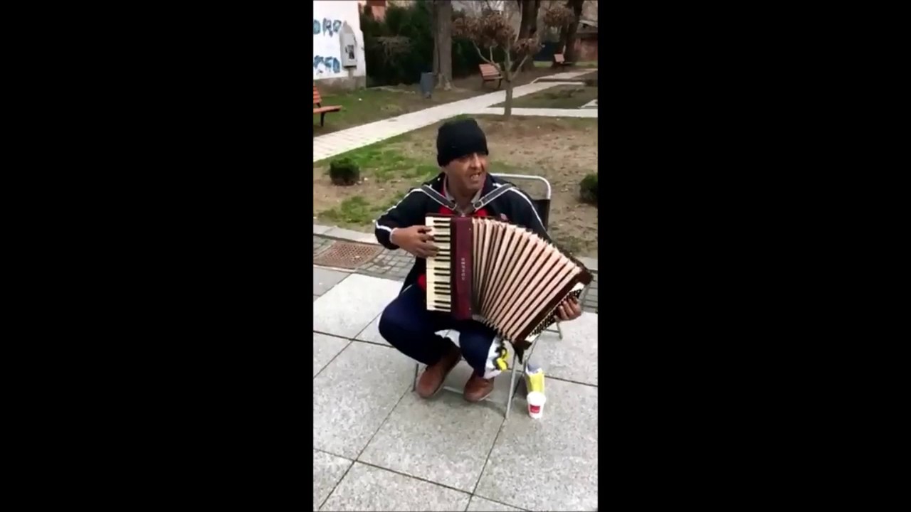 Brodski ulučni svirač