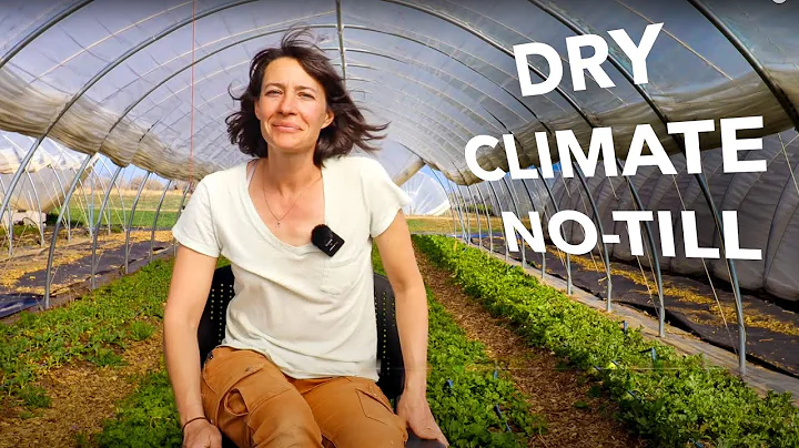 No-Till Flower Farming on Clay in Colorado || Arte...