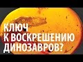 КЛЮЧ К ВОСКРЕШЕНИЮ ДИНОЗАВРОВ? Ярослав Попов | Палеонтологические истории #006