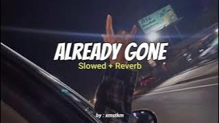 Already Gone - Klaas & Mister Ruis  (Slowed   Reverb) by : xmstkm