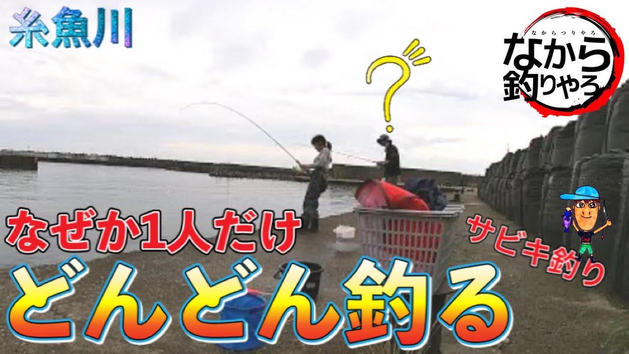 新潟糸魚川 サビキ釣り 誰も釣れていない堤防でサビキ釣り Youtube 新潟糸魚川 サビキ釣り 誰も釣れていない堤防でサビキ釣り Youtube