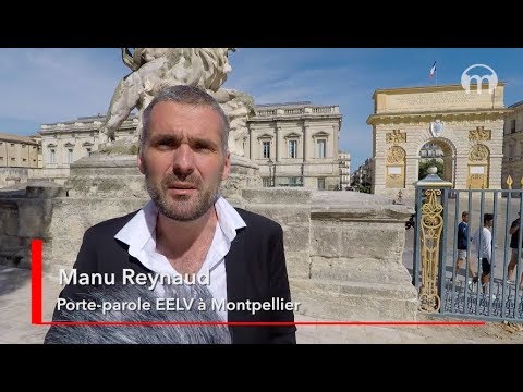 Manu Reynaud EELV sur la démission de Nicolas Hulot