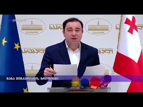 ჯაბა ჯიშკარიანის ბრიფინგი
