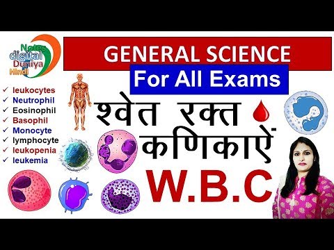 श्वेत रक्त कणिका | White Blood Cell by Neha Ma&rsquo;am | WBC | General Science