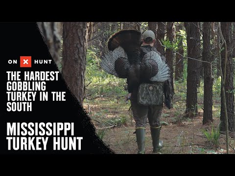 The Hardest GOBBLING Turkey In The South- Mississippi Turkey Hunt | presented by onX