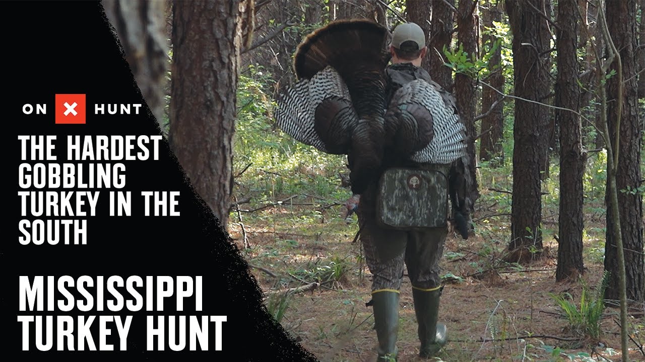 The Hardest GOBBLING Turkey In The South- Mississippi Turkey Hunt | presented by onX
