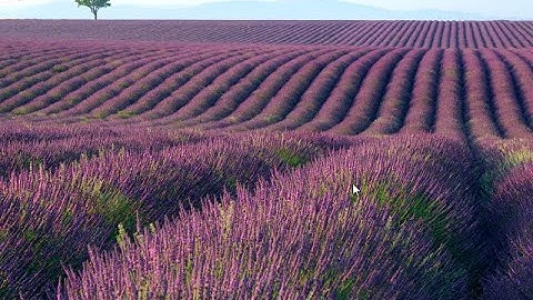 Installing Windows 7 build 7231