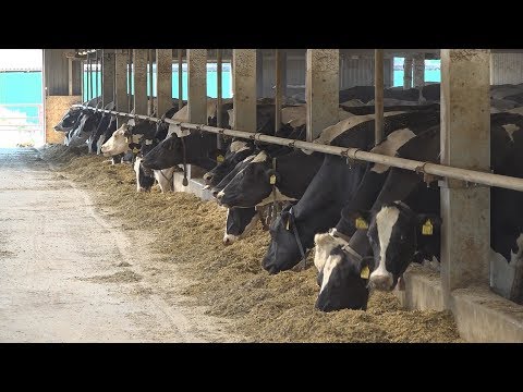 Videó: Hogyan Lehet Növelni A Laktációt Expresszálás Közben