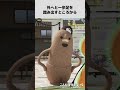 Steam版『こふんは生きている ーマホロヴァ・クラブの死体さがしー』紹介ショート動画 #shorts #インディーゲーム #indiegame