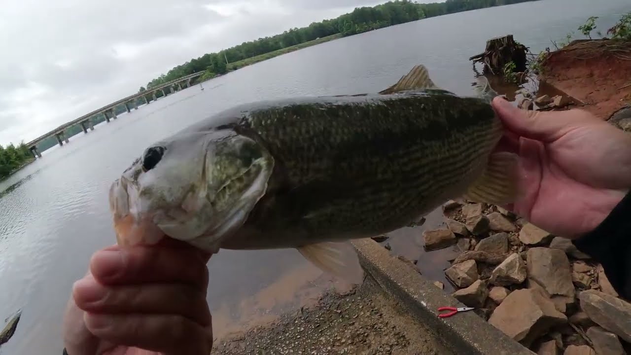 What Happens When You Fish 5 Year Old Lures?