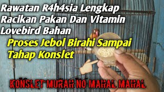 cara lengkap rawatan jebol birahi sampai menuju konslet dengan vitamin 450 yang sedang viral