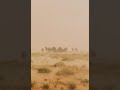 خلوني اخذ راحتي خالد آل بريك شيلات شيلاتتراحيببامالعروس2019 عبدالله ال فروان اكسبلور لايك