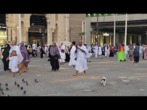 من أجمل فجريات مكة