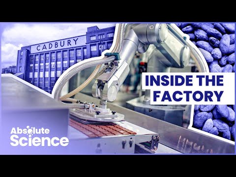 How Is Chocolate Made? The Science Of Chocolate Making | Inside Cadbury | Absolute Science