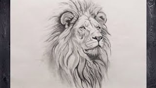 ✏️Drawing of a male lion || Step by step drawing of male lion ||🦁