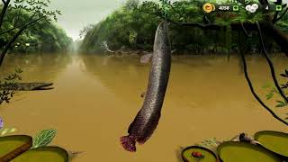 Fishing Clash gameplay screenshot 4