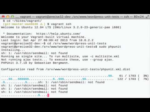 WordPress unit tests