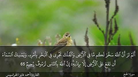 الصفحة 340 سورة الحج بصوت القارئ المهندس أحمد فايز الحراسيس