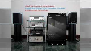 Audio Testsong Bee Moved Onkyo Dp-S1A