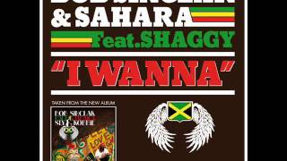 Video thumbnail of "Bob Sinclar & Sahara feat.Shaggy - I Wanna"