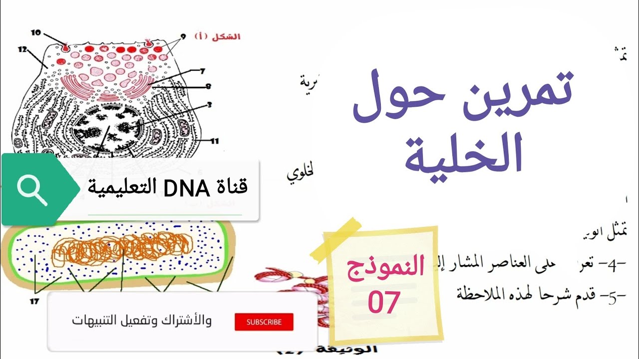 تمارين الخلية وحدة بنيوية للسنة الثانية ثانوي