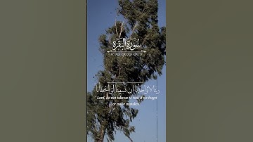 #القرآن_الكريم #تلاوة_خاشعة #