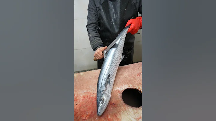 "How to Slice King Mackerel (Kingfish) into Perfect Steaks | Clean & Cut Like a Pro"