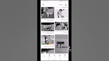اباوع بالصور واذكر الراحو 