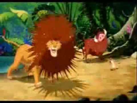 Lion King In The Jungle Youtube