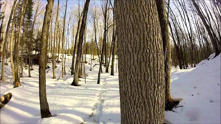 Iskigamizigan 2015 Assinins sugarbush