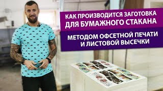 картинка: Як виготовляється заготовка для паперового стакана, методом офсетного друку та листового висікання!