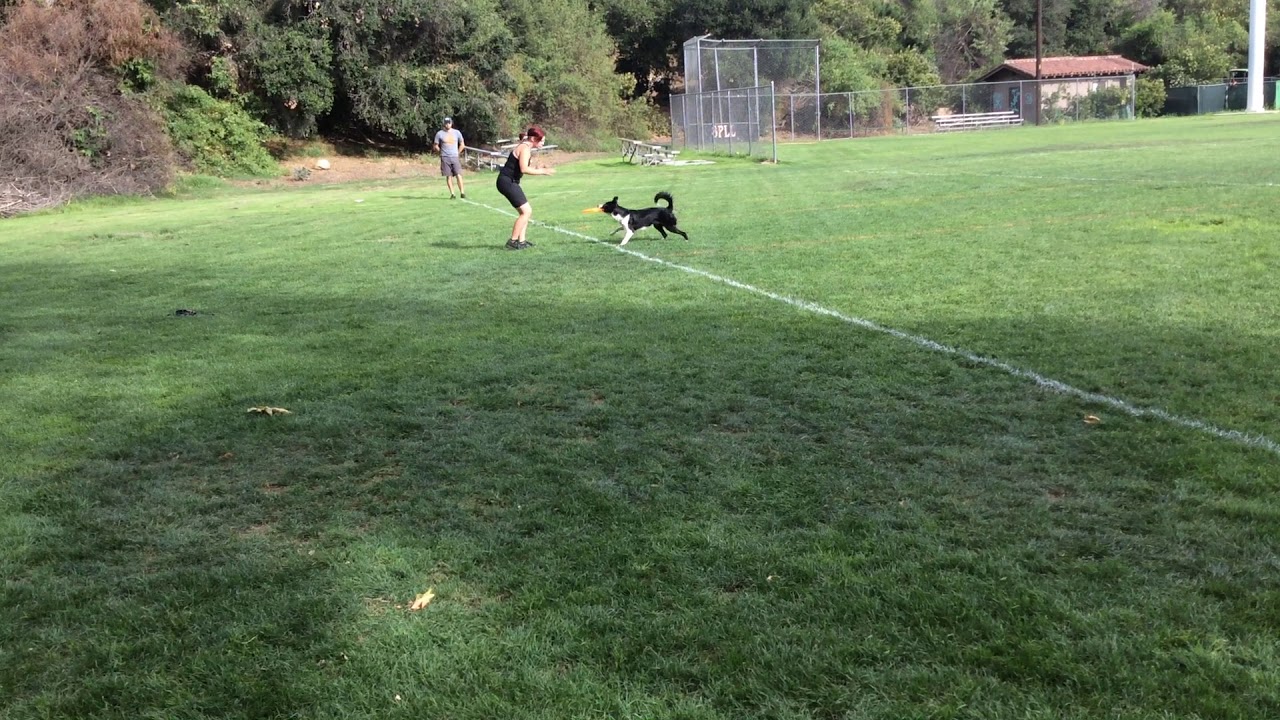 Sora & Kirby McIlveen - USDDN Super Pro Toss & Fetch Qualifier (1st Place)