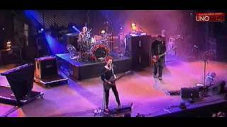 Muse - Microcuts Route Du Rock 2001