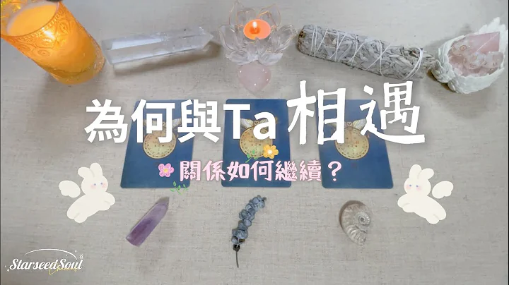 💜塔罗占卜| 为何会与Ta相遇？关系将如何继续？| 来自宇宙的建议和指引(Timeless) - 天天要闻