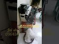 Video Image
