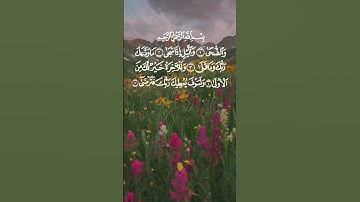 القران الكريم 🌺سورة الضحى 🌺الشيخ عبد الباسط عبد الصمد