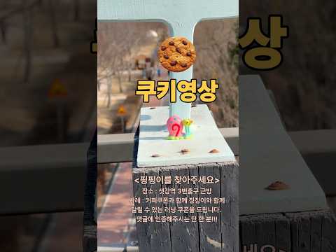 (쿠키영상) 핑핑이를 찾아주세요~