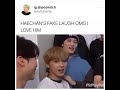 nct vines that will make 2019 better
